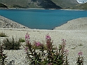 Colle Del Moncenisio - Diga di Contenimento e Lago_048